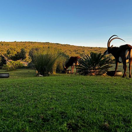 Baardbos Private Game Reserve Apartment Stilbaai Bagian luar foto