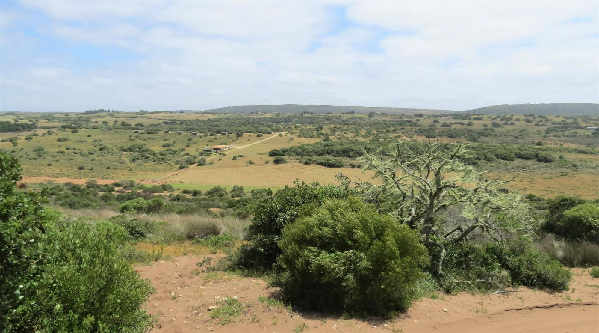 Baardbos Private Game Reserve Apartment Stilbaai Bagian luar foto