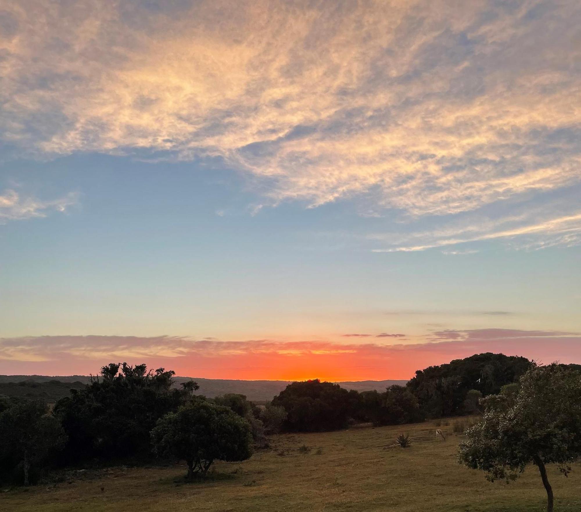 Baardbos Private Game Reserve Apartment Stilbaai Bagian luar foto