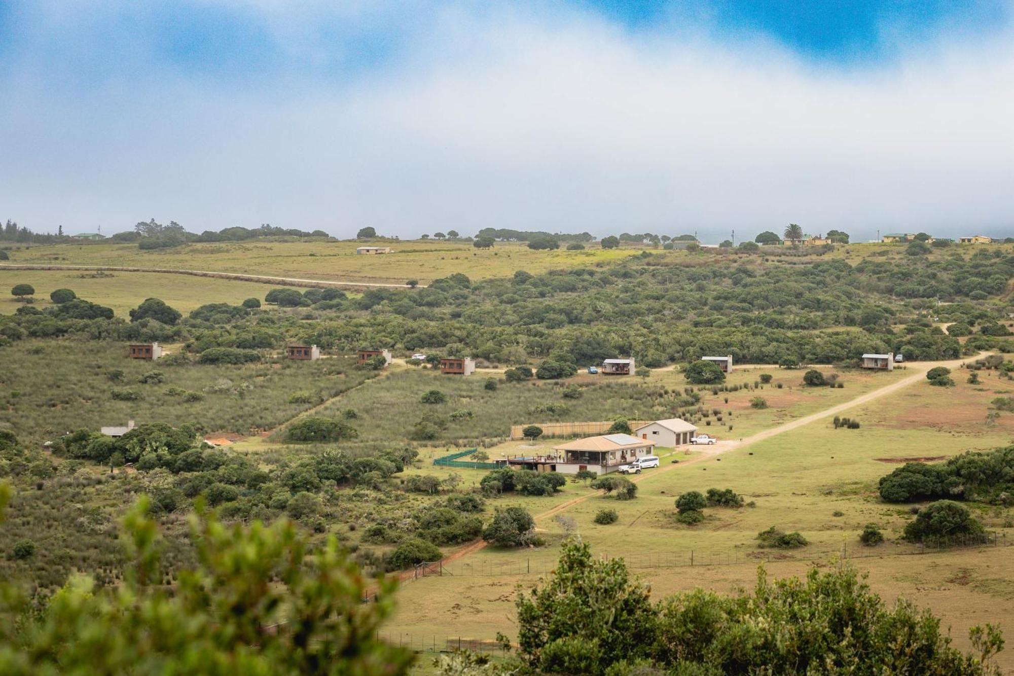 Baardbos Private Game Reserve Apartment Stilbaai Bagian luar foto