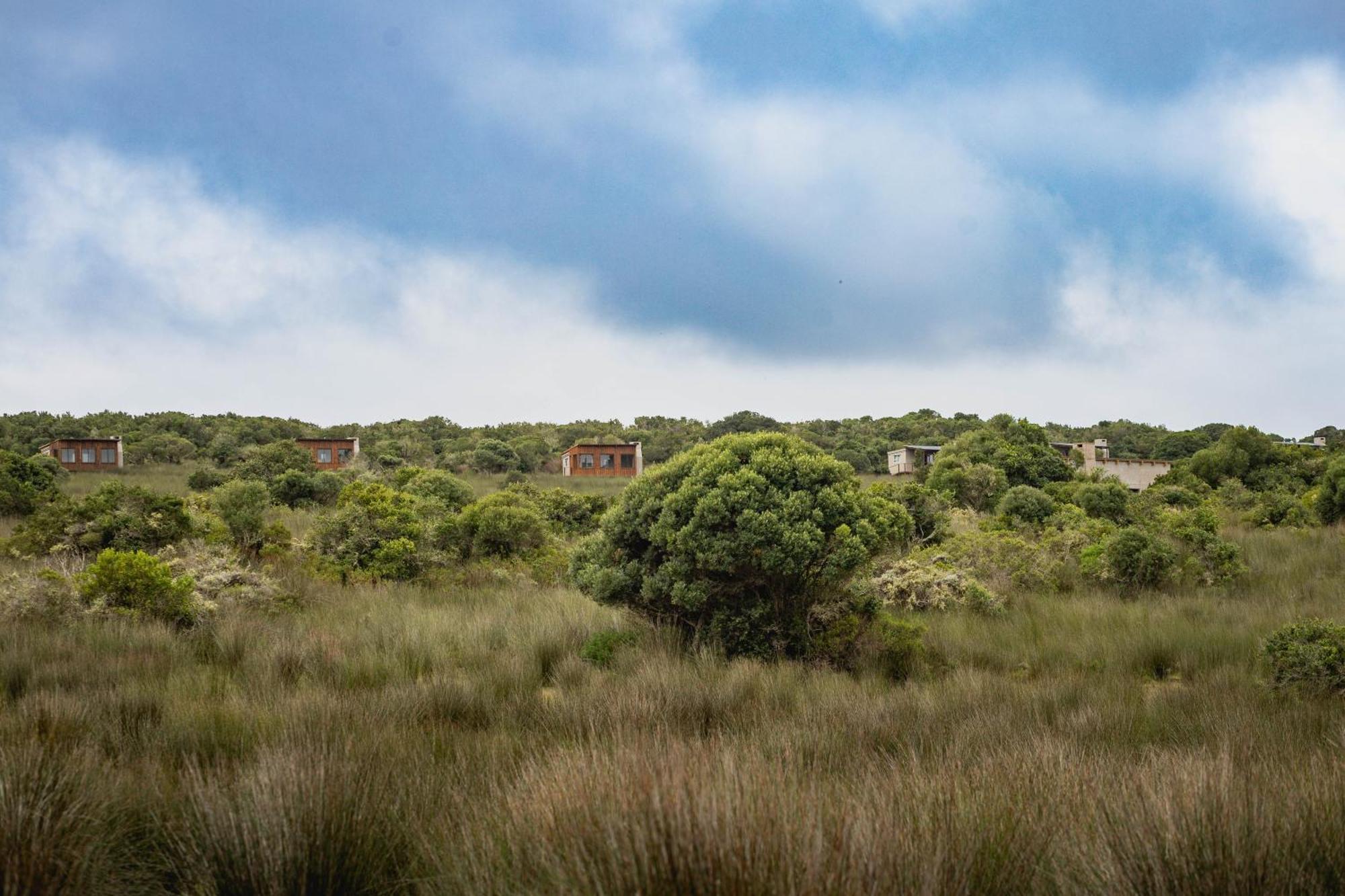 Baardbos Private Game Reserve Apartment Stilbaai Bagian luar foto